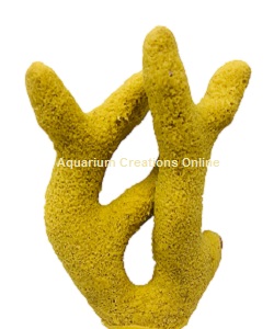 Picture of Aquacultured Bright Yellow Porites